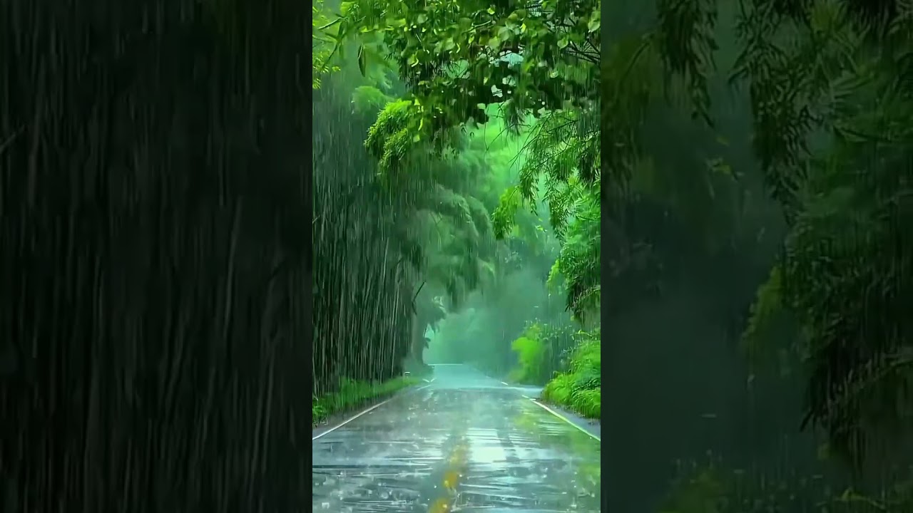 rain falling view is osam view #viralvideo #naturalbeauty #youtubeshort