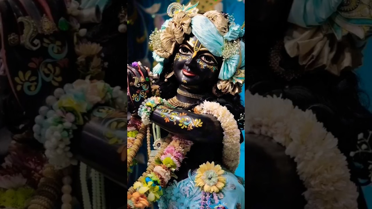 Hare Krishna Hare Krishna💫🙏🚩#krishnabhajan#krishnastatus #radheradhe#ytshorts#trending#viralvideo