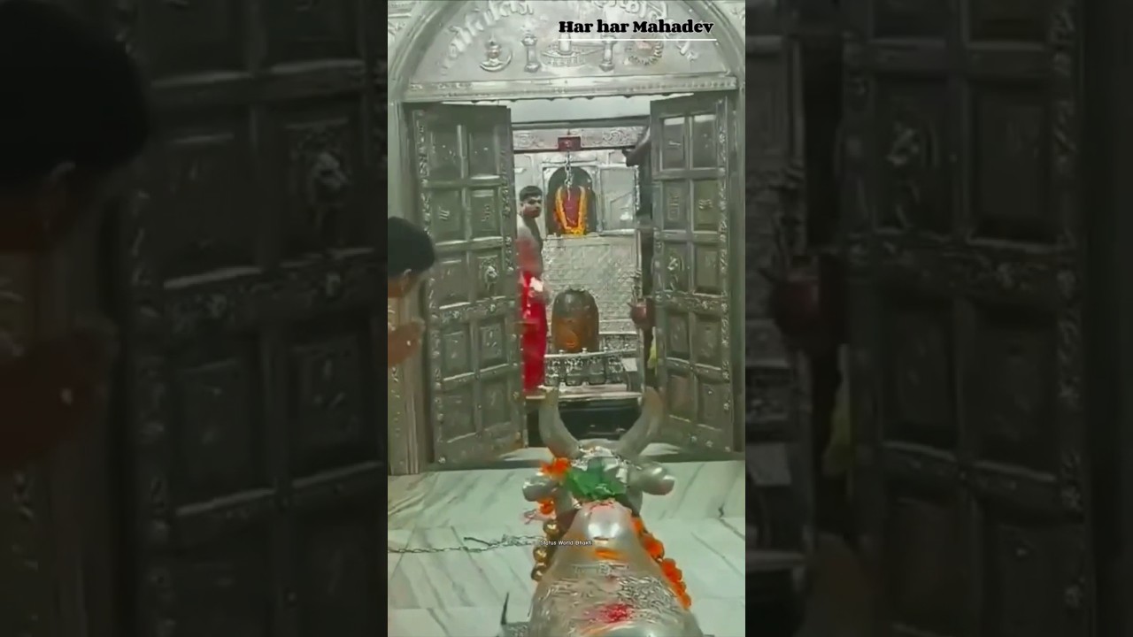 Ujjain_ke _°_mahakal_ki_atal_bhakti 🚩Har Har Mahadev 🌺#shorts #mahakal#mahadev#bholenath