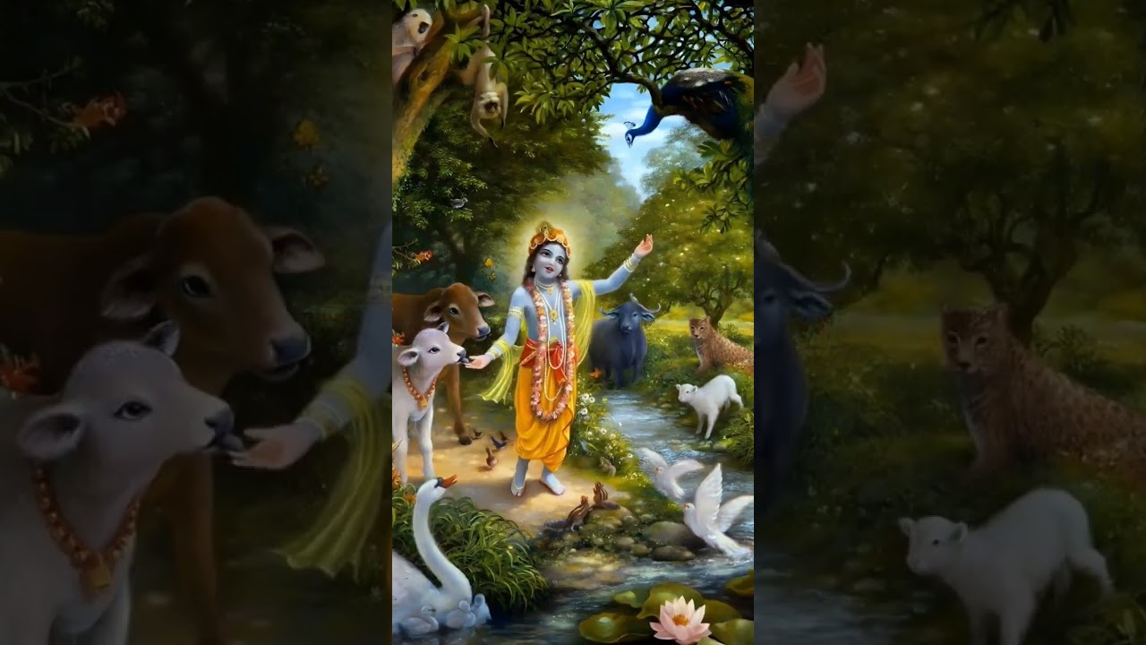 शेष की शैय्या पर सोने वाले 🙏❤️ भूमि पर आज शयन करते हैं 🙏❤️ #bhajan #krishna #ram #नारायण