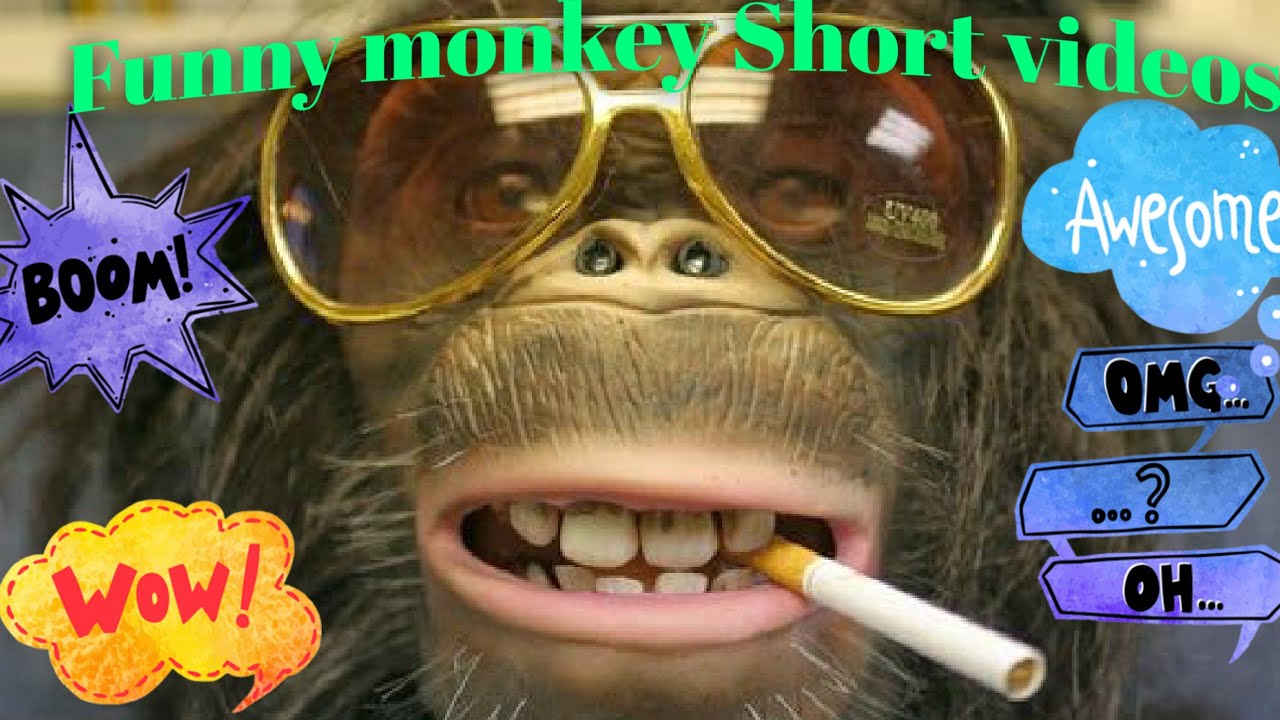 Funny monkey Short videos-Wait for end #shorts#viral #mrbeastshortsgiveaway