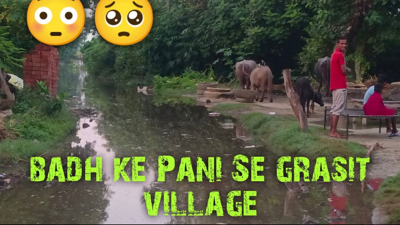 Badh ke Pani Se grasit Area - today news - #viral #video #india