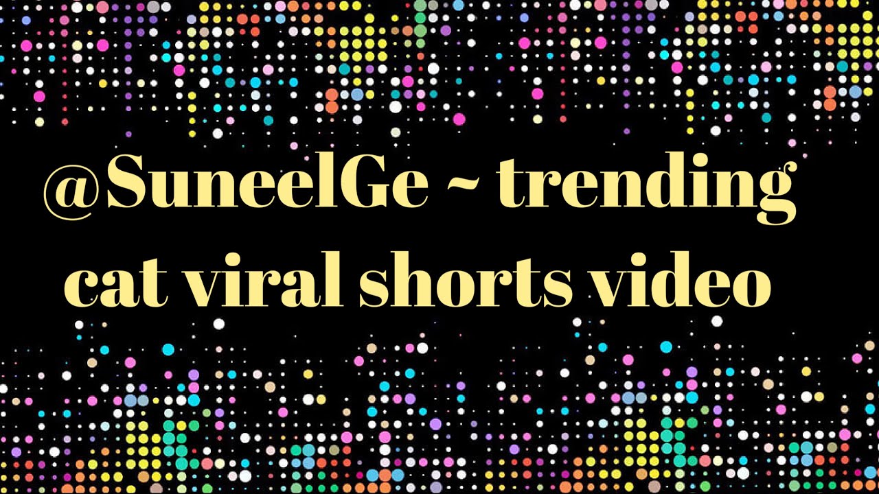 Wait for end @SuneelGe#mrbeastshortsgiveaway #trading #viral #shorts #cat #video