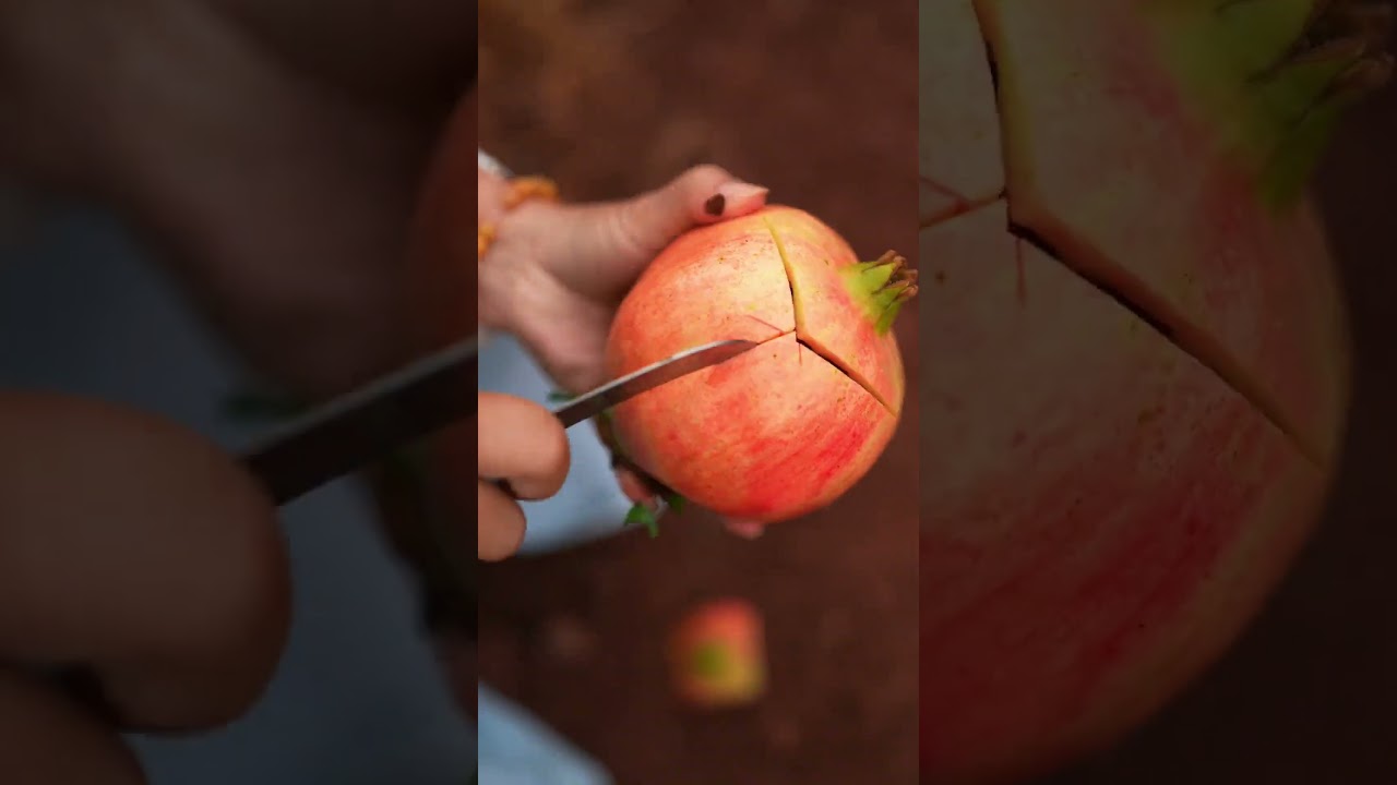 Beautiful Nature with Rural Life - Harvest pomegranates on a warm, sunny afternoon