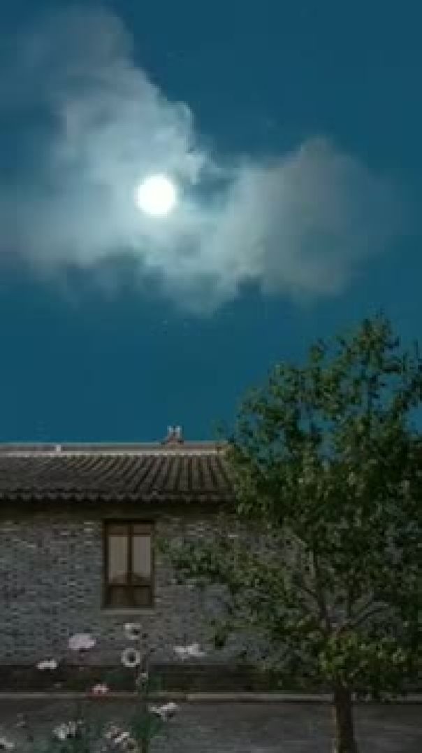 VID-20250428-WA0007