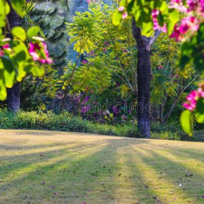 naturelove123