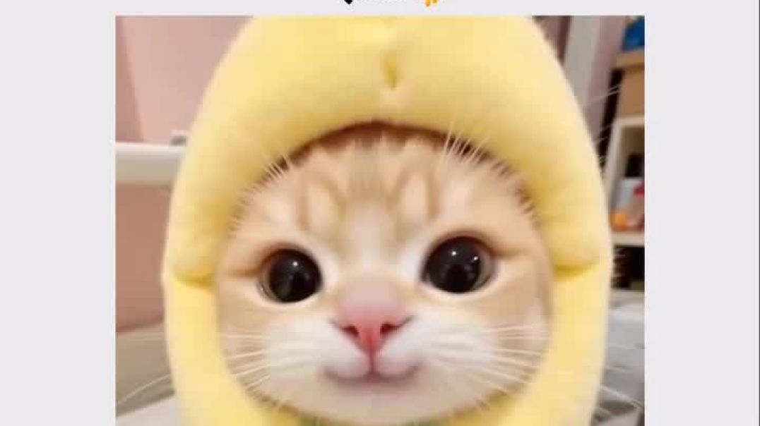 Send your frend   #support10k #viralreel #trendungreel #like #foollw #shear #funnyvidio