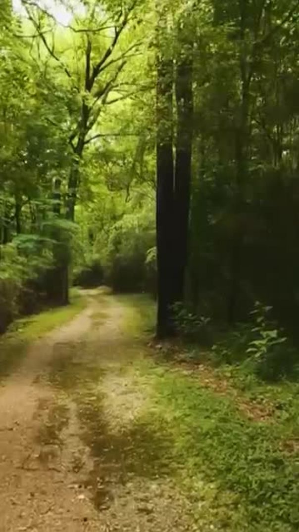 Jivan ke samundar Majhe __ _masihigeet _christiansong _viralshorts(360P)