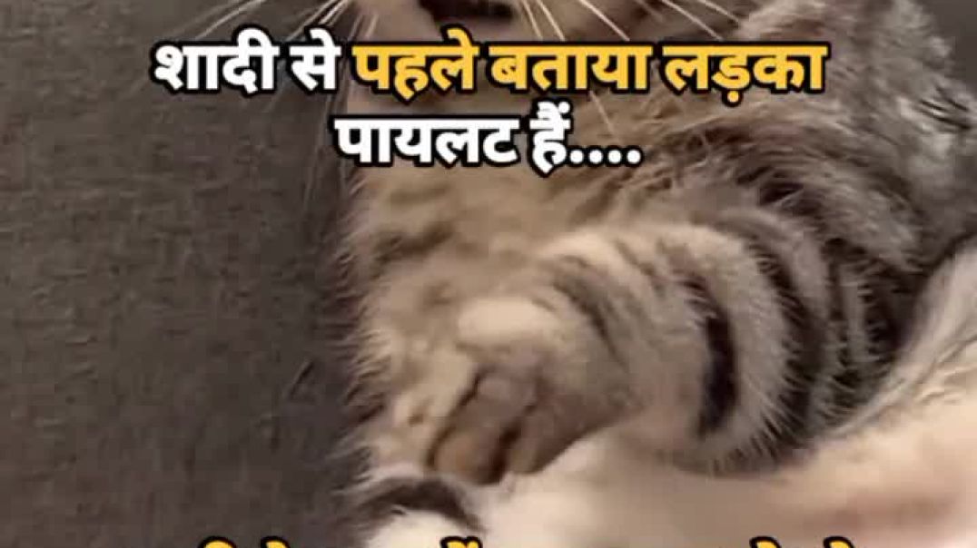 Funny video   #funny #funnyvideos #fun #trending