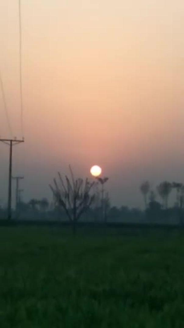 VID-20250528-WA0060