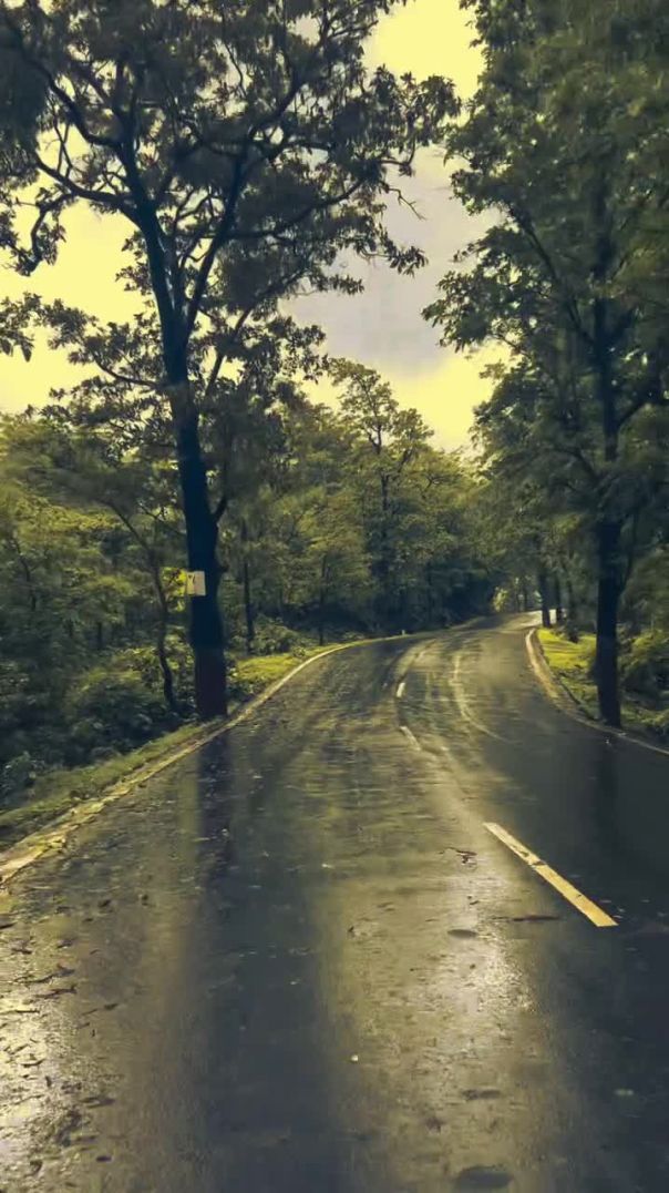 #nature #traveling #mountain #monsoon  #trip #vilsanhill #dharampur