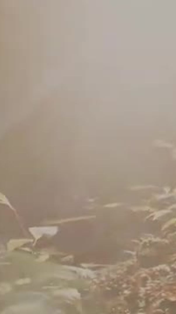VID-20250601-WA0049