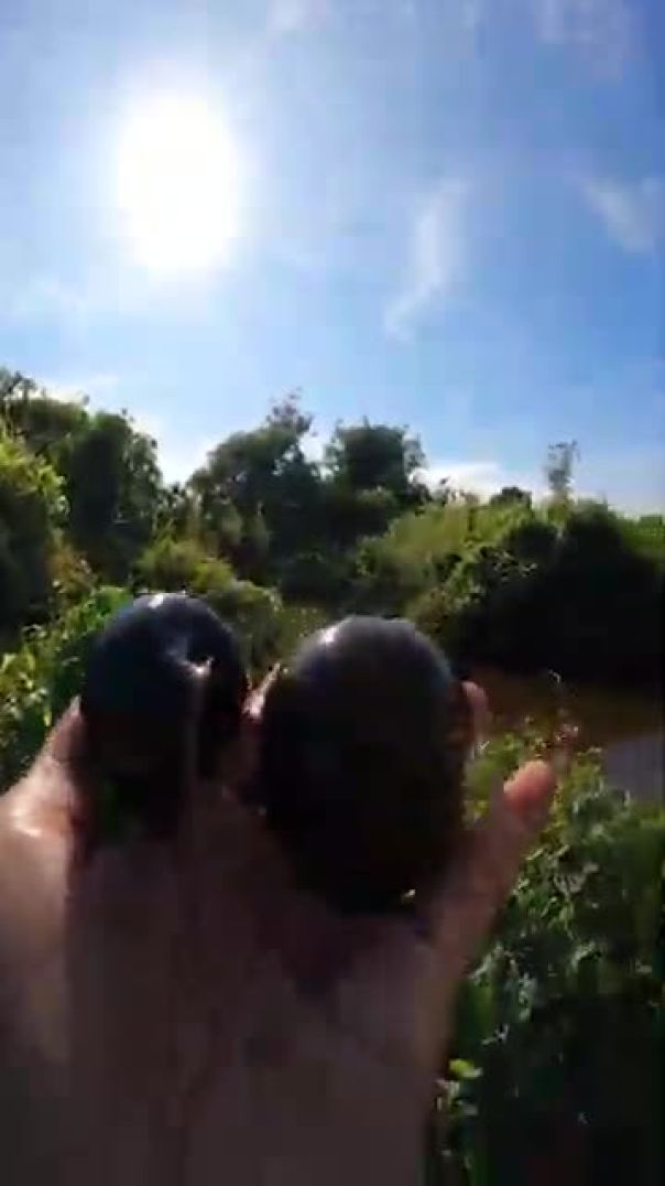 VID-20250601-WA0085