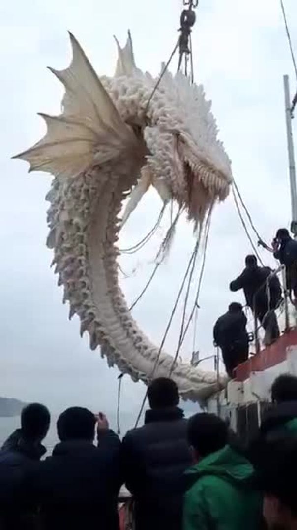 VID-20250606-WA0018