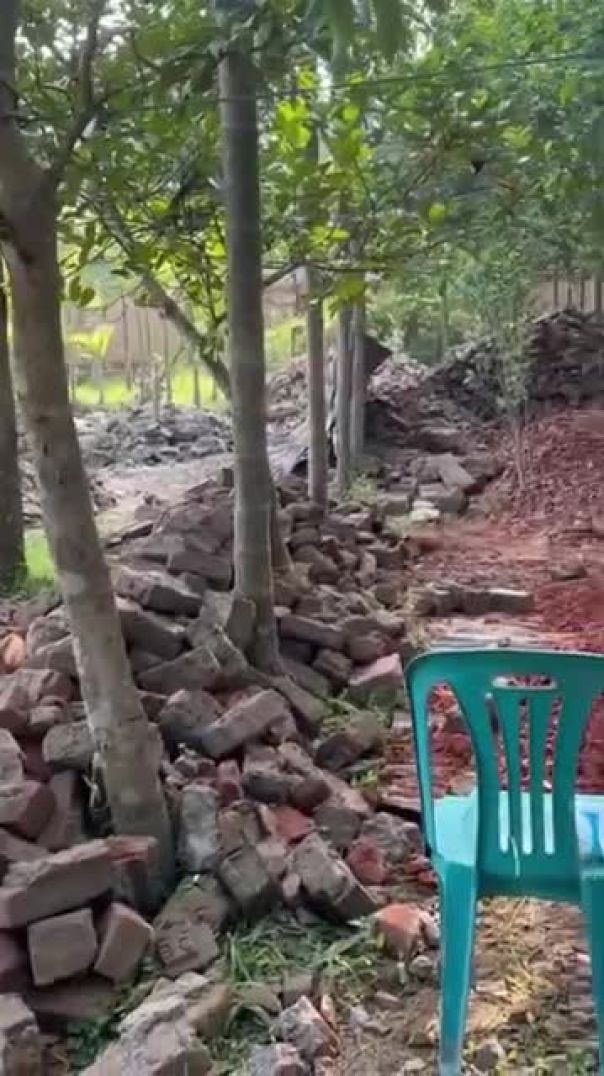 VID-20250607-WA0004