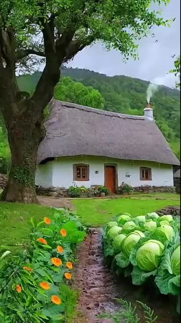VID-20250616-WA0003