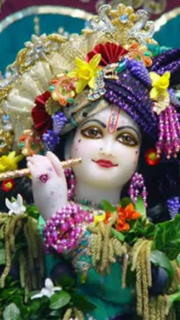Radha dhundh rhi _Radhe Radhe_Krishna Krishna(360P)