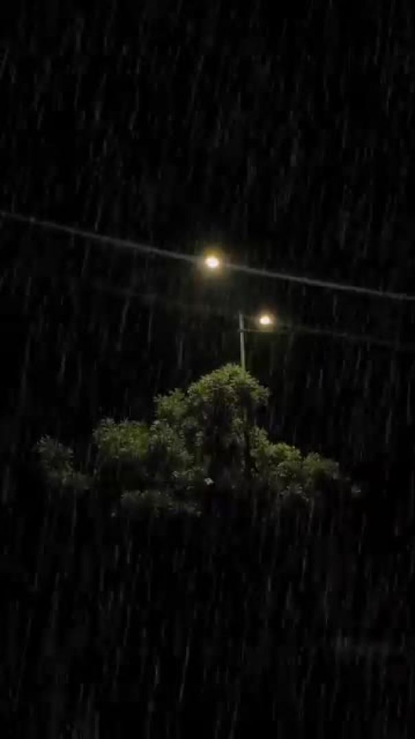 VID-20250617-WA0065